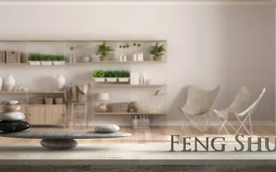 Las mejores plantas para el Feng Shui en tu Home Office